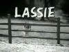 Lassie